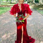 Ashley Lauren Prom Dress Photo 3