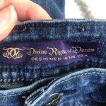 Devine Rights Denim Blue Skinny Jeans Zip Ankle Womens 30 Blue Stretch Fall Y2K Photo 2