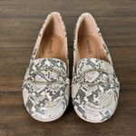 Baretraps  Kellye Snake Patterned Women's Loafers Size 7.5 New! Photo 1