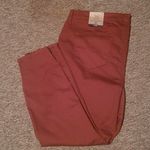 True Craft  Curvy Skinny Jeans SIZE 22 Photo 4