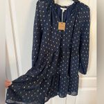 Blu Pepper  M Boutique Sheer Tiered Mini Dress Photo 4