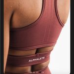 Alphalete   Amplify Set Size Medium in Autumn Photo 6