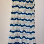Renee’s NYC Accessories Y2K Viscose Blue and White Striped Scarf with Tassels Photo 0