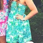 Lilly Pulitzer Strapless Dress Photo 1