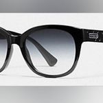 Coach  Cailin Black Sunglasses Photo 0
