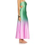 Revolve Maxi Dress Photo 2