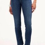 Madewell NWT Stovepipe Jeans Size 24T Photo 0