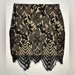 EXPRESS  Floral Lace Mini Skirt in Black/Tan Size 00 Photo 1