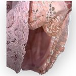 Nanette Lepore  Lace Crochet Sheer Pink Lined Bobo Spring Bloom Bow tie Blouse S Photo 5