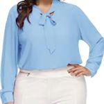Amazon BloggerLove Light Blue Chiffon Longsleeve Blouse Top Size M Photo 1