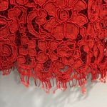 ZARA  Red Lace Dress Short Sleeve Lined Sheath Sz XS Cocktail Business Event Photo 4