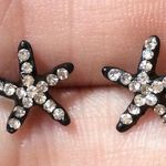 Black Nautical Beach Starfish Stud Earrings Photo 0