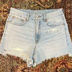 American Eagle NWOT Stigid Denim Shorts Photo 0