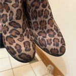 Style & Co . Brown Leopard Ankle Booties Photo 5