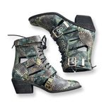Jeffrey Campbell New Guadalupe Snake Print Leather Boots Sz 6.5 Photo 1