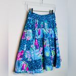 Lilly Pulitzer Bryant Pop Up Lilly's Party Patch A-Line Pleated Skirt Photo 4