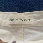 Aritzia Denim Forum Jean Shorts Photo 3