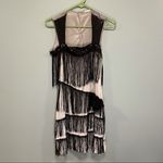 Flapper fringe dress! 1920s silver and black Halloween costume dress! Size M Photo 1
