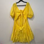 Tanya Taylor  Carly Puff Sleeve Cotton Dress in Lemon Zest 18 Photo 2