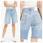 AGOLDE 90s Mid Rise Loose Denim Shorts Button Fly in Swapmeet Blue Women's 24 Photo 1