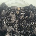 Cynthia Steffe  Black Velvet Lace Dress Photo 2