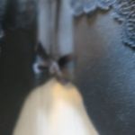 Cacique Lane Bryant boost strapless bra jewelry on front lacey in black size 44DD. Photo 3