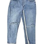 Forever 21  womens high rise distressed jeans size 3X Photo 4
