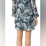 Club Monaco Rent the runway  Delaynee dress sz 0 sheer floral Photo 1