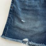 American Eagle Outfitters Strigid ‘Curvy 90’s Boyfriend’ Jean Shorts Size 2 Photo 2