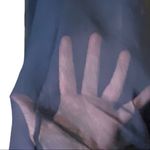 Colleen Lopez Sheer Black Tie Photo 5