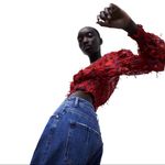 ZARA Red Floral Smocked Sheer Blouse Fringing Cropped Top Long Sleeve Size XS Photo 1