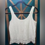 American Eagle  Outfitters White Lace Tank Top Photo 0