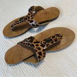 blowfish  leopard print thong sandals size 6 Photo 1