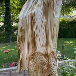 Symphony  Brown and Tan Animal Print Scarf Photo 3