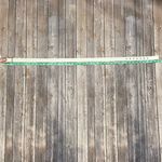 Juicy Couture Rose Gold Buckle Polyurethane Belt Photo 7