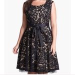 Betsy and Adam Elegant Black Lace Dress Photo 1