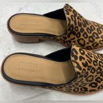 Soludos 🆕 NIB Venetian Mule in Leopard Photo 3