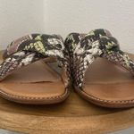 Madewell | The Skyler Slide Sandal in Snake Embossed Leather | 8 Photo 3