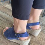 Caslon  Blue Suede Wedges Photo 1