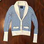 American Eagle American-eagle-outfitters Women's Blue and White Cardigan Photo 1