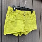 LC Lauren Conrad ‎ Denim Shorts Photo 2