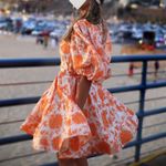 Zimmermann NWOT  post card belted dress size2 Photo 7