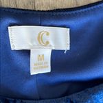 Charming Charlie C Brand Royal Blue Velvet Top Photo 1