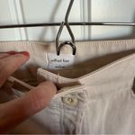 Wilfred  Free Blush Tan Cargo Jean Photo 3