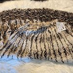 Life Style Women’s Skirt size S long 37” brand new with tags Photo 9