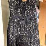 Robert Rodriguez  Black and Cream Strapless Lace Dress Photo 0