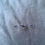 Nike Penn State Nittany Lions Football Women's Tee Shirt, Medium Photo 1