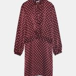ZARA NWOT POLKA DOT SILKY / SATIN MINI DRESS BLOGGERS FAV Photo 2