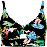 City Chic bikini top CCX swim black tropical foliage swimwear New Size Medium Photo 0