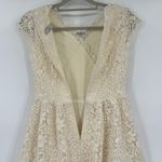 Lily Brown Lace Fit & Flare Dress Sz 0 Floral Crochet Romantic Glam Tulle Fairy Photo 9